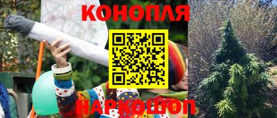 индика Кулебаки