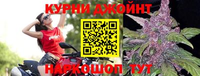 индика Кулебаки