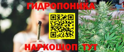 индика Кулебаки