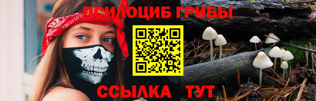 Ивантеевка  Галлюциногенные грибы Cubensis  Вход с VPN  Псилоцибиновые грибы MAGIC MUSHROOMS 